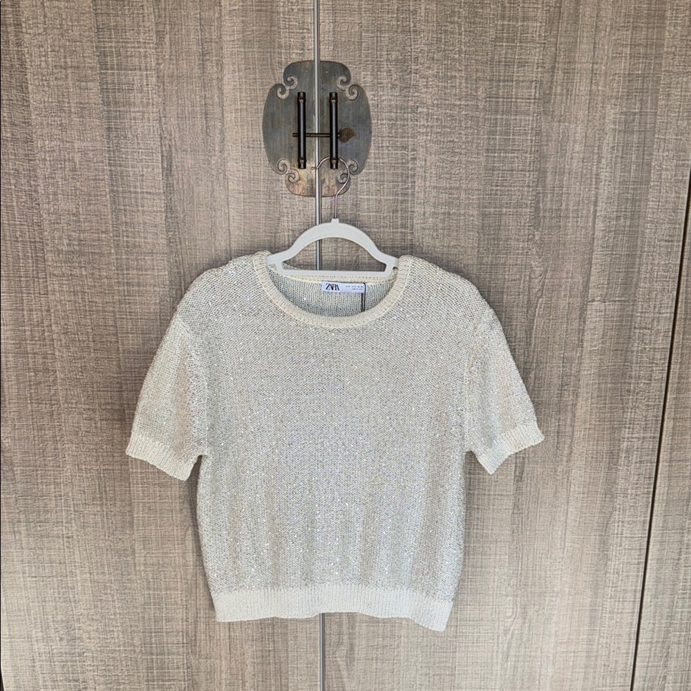 Zara Sequin Knit Top